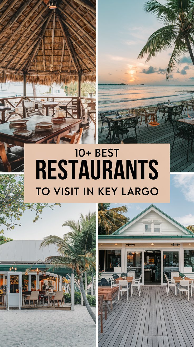 10+ Best Restaurants To Visit In Key Largo