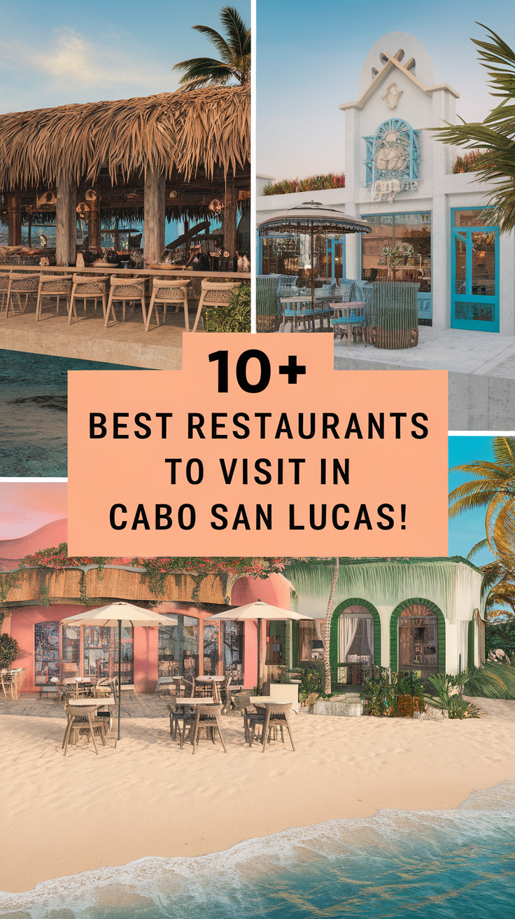 10+ Best Restaurants To Visit In Cabo San Lucas