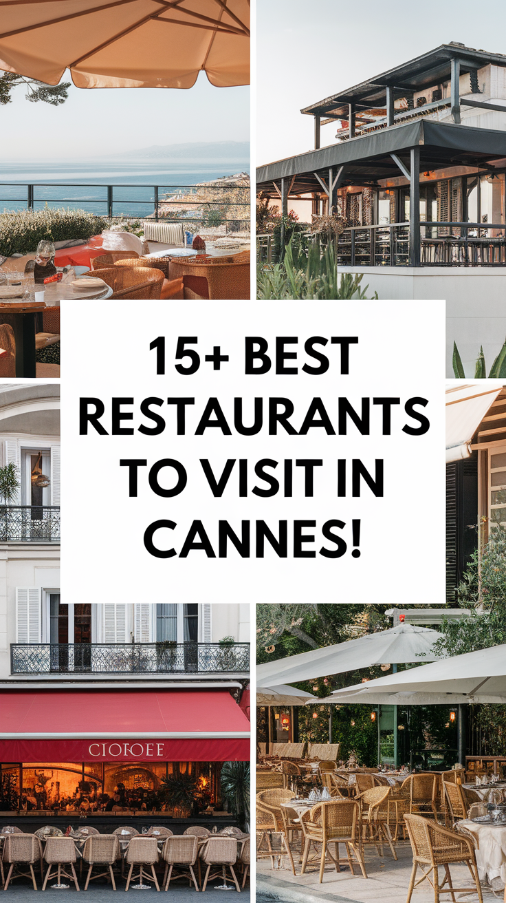 15+ Best Restaurants To Visit In Cannes