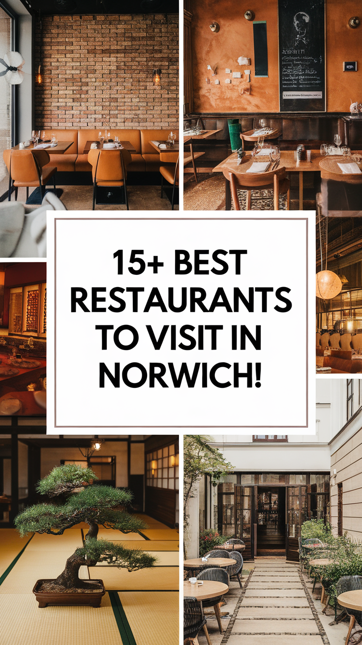 15+ Best Restaurants To Visit In Norwich