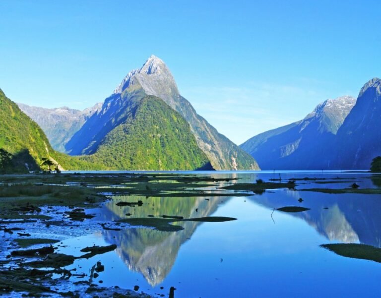15+ Best Places to Visit in New Zealand This Summer