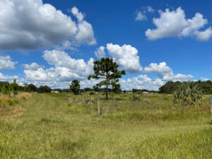 12 Best Things To Do in Brandon, Florida – Your Ultimate Local Guide