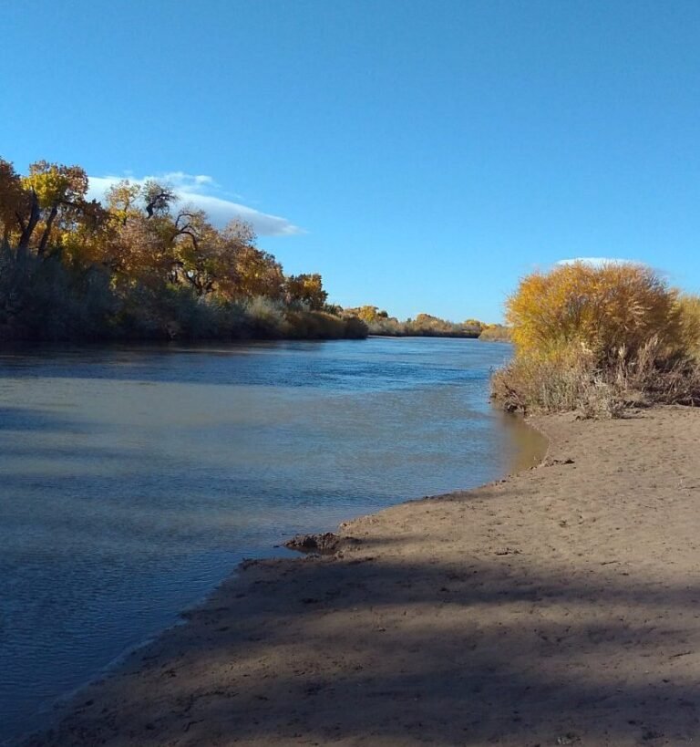 12 Best Things To Do In Rio Rancho, New Mexico