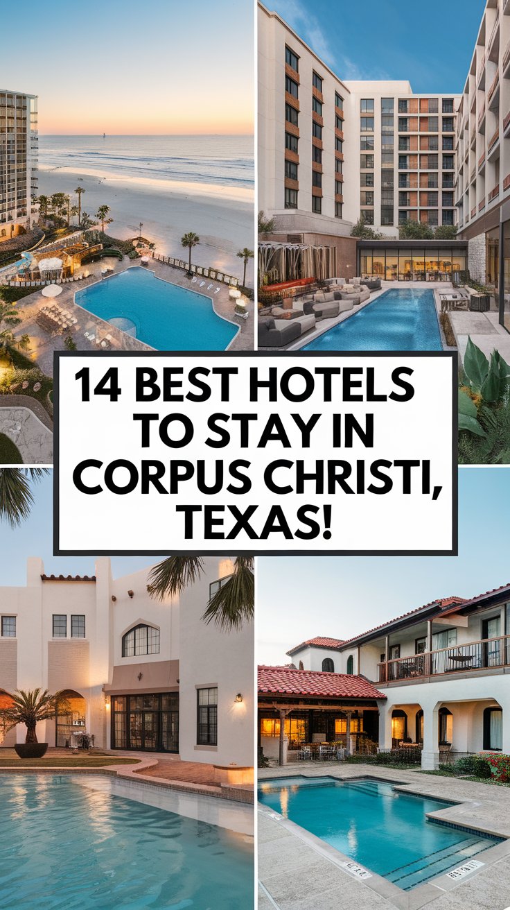 14 Best Hotels To Stay In Corpus Christi, Texas